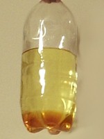 Biodiesel on top, glycerine at the bottom