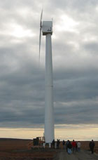 Down-Wind Wind Turbine Generator