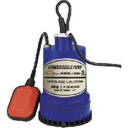 Submersible pump with integrated float switch