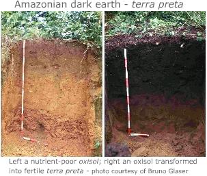 Terra preta - dark soil in Amazon basin caused by high carbon concentrations