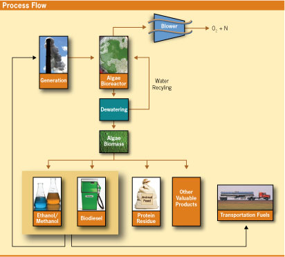 Power generation and fuel creation from algae.