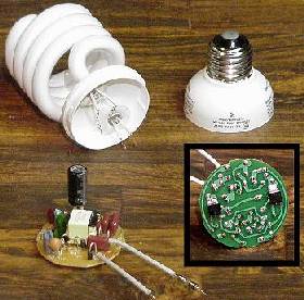 Disassembled CFL bulb showing the electronic ballast