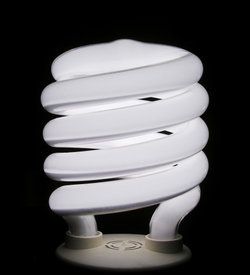 Compact Fluorescent Lightbulb