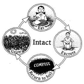 Cylce of waste when using a compost toilet