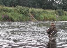 Fishing in a clean river