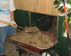 Humanure being removed from the chamber of a compost toilet