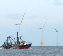 London Array Offshore Wind Farm