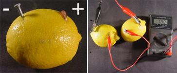 Measuring the voltage generated by a lemon battery