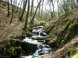 Microhydro flow of river hydropower in Exmoor