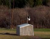 Wind turbine battery shed