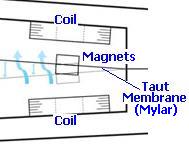 Windbelt magnet and coils